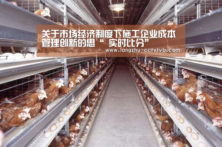 龙珠体育app比分直播