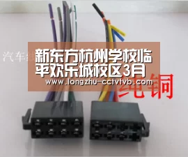  实时比分