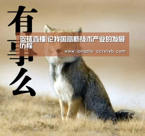 篮球直播|论我国高新技术产业的发展历程(图2) 龙珠体育app比分直播