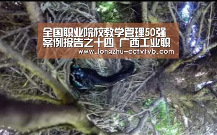  赛事数据直播