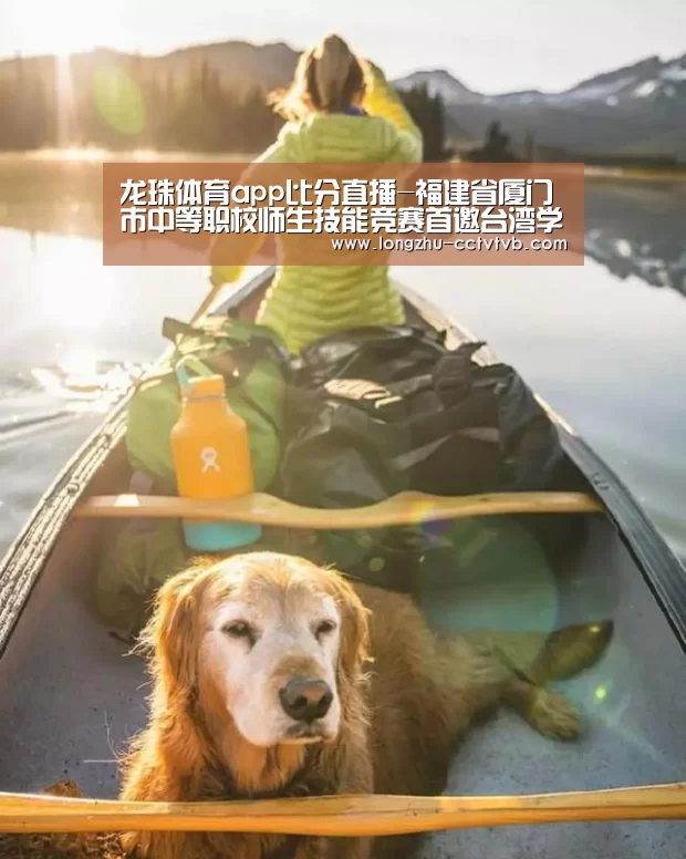 龙珠体育app比分直播