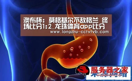  赛事数据直播