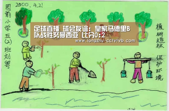  篮球直播
