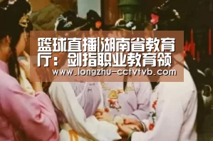  赛事数据直播